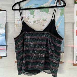 Wild fable sequin top